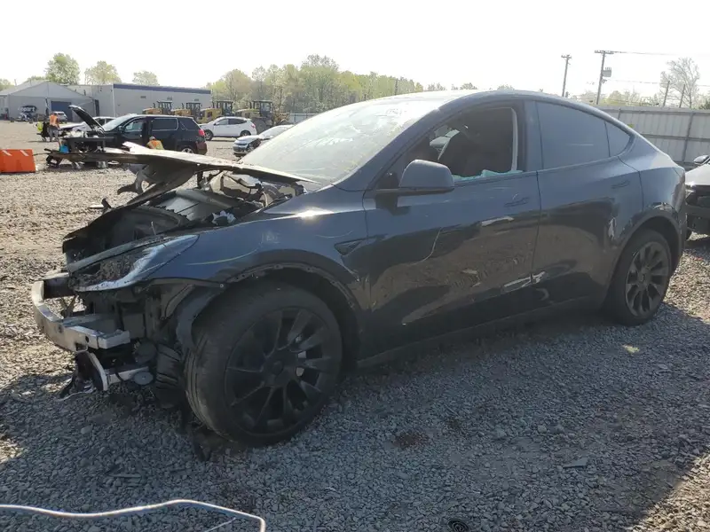 2024-TESLA-TESLA-MODELY-7SAYGDED3RF160506-2025-05-06